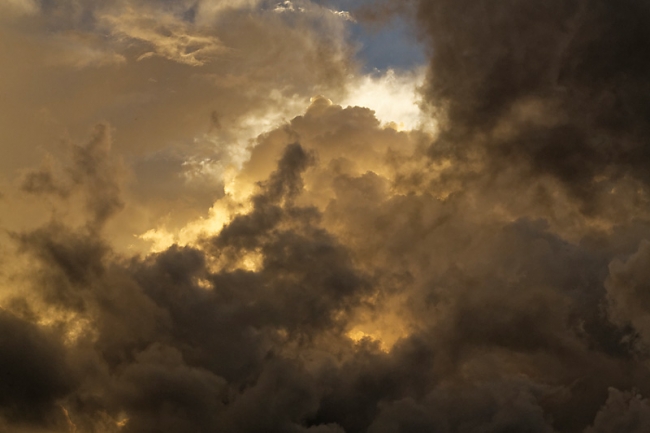 Kandy-Botanical garden-098